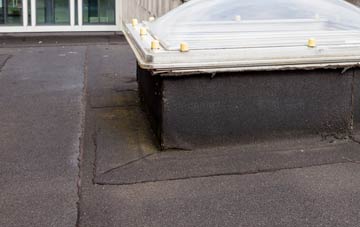 disadvantages of Skelton On Ure flat roofs