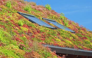 Skelton On Ure living roof systems