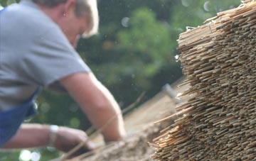 professional Skelton On Ure thatchers